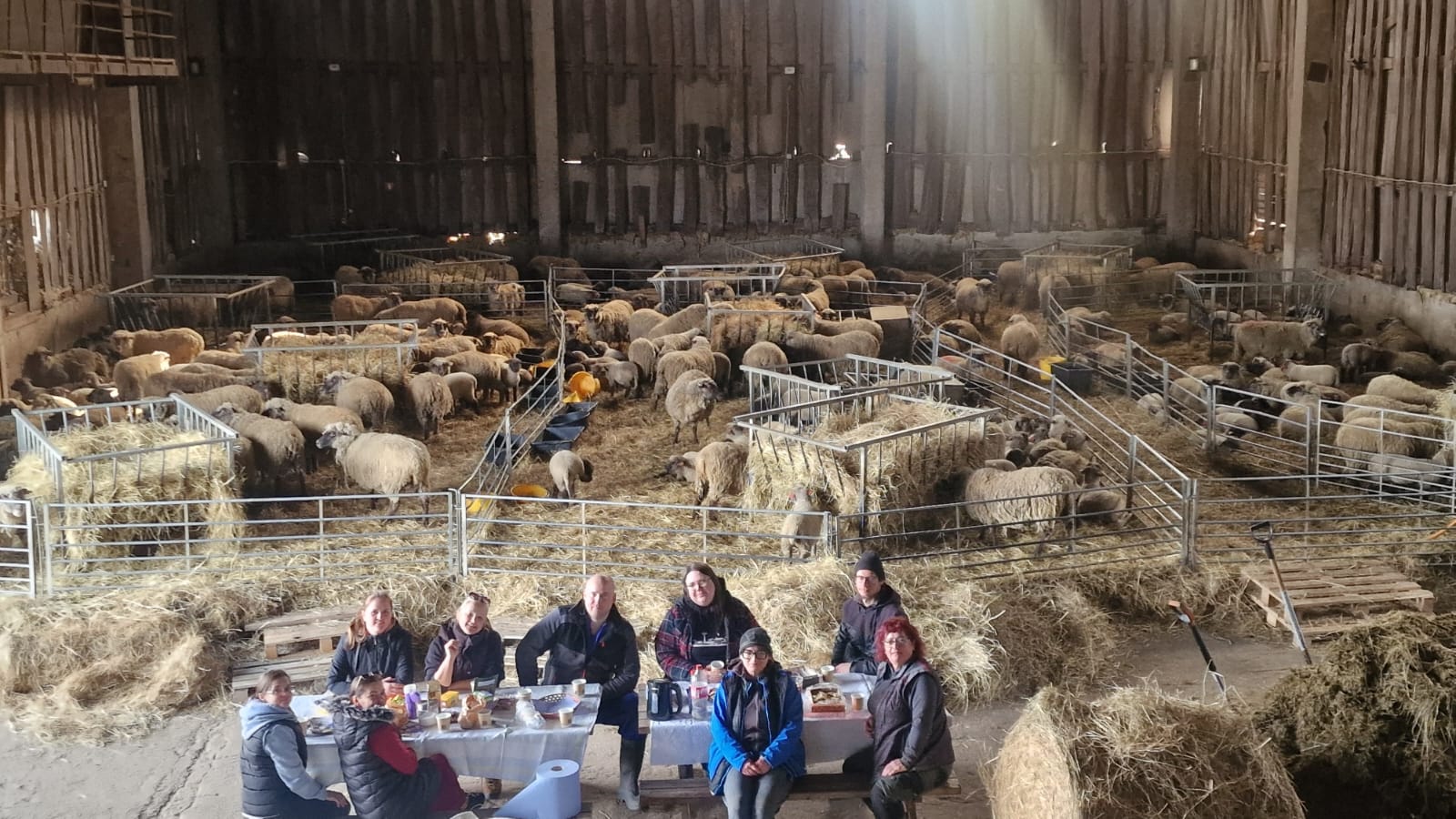 Jauno lopkopības tehniķu pavasara aktivitātes